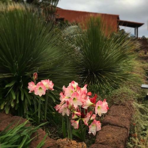 Agroturismo Haciendas Del Valle - Las Kentias
