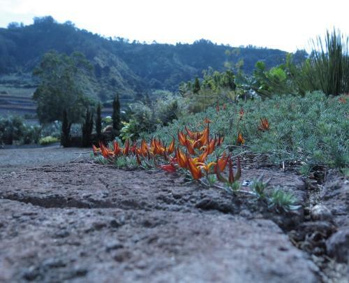 Agroturismo Haciendas Del Valle - Las Kentias