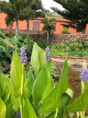 Agroturismo Haciendas Del Valle - Las Kentias