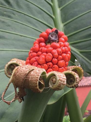 Agroturismo Haciendas Del Valle - Las Kentias