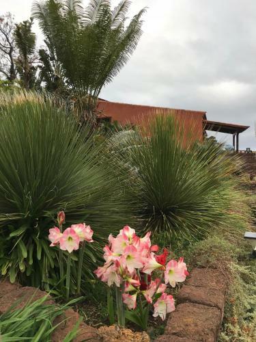 Agroturismo Haciendas Del Valle - Las Kentias