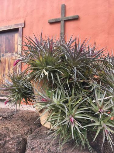 Agroturismo Haciendas Del Valle - Las Kentias