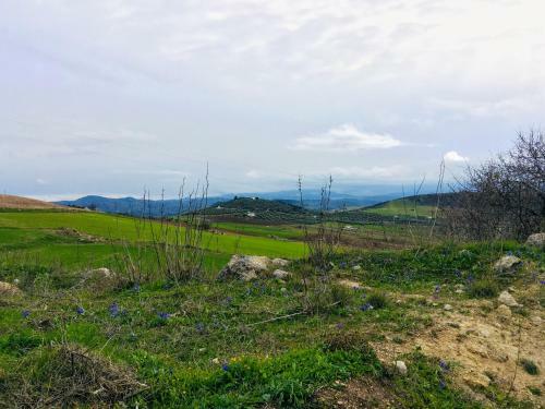 Bed & Breakfast La Sorpresa