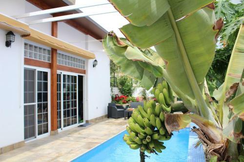Casa El Olivo, Tenerife