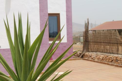 Apartamento Casa Volcan De Gayria