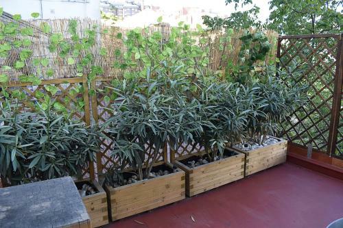 Apartamento San Quirce - C�ntrico Y Reformado- Wifi Y Netflix