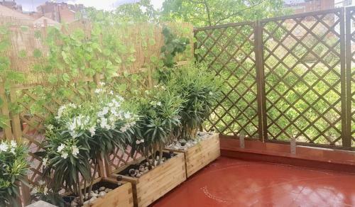 Apartamento San Quirce - C�ntrico Y Reformado- Wifi Y Netflix