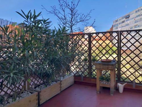 Apartamento San Quirce - C�ntrico Y Reformado- Wifi Y Netflix