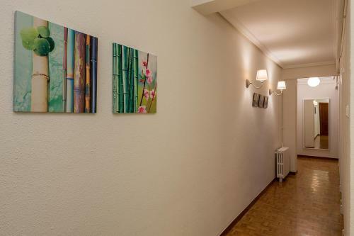 Apartamento Valladolid Centro Enrique IV