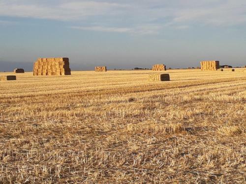 El Pajar De Cigu�uela