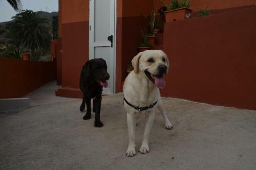 Agroturismo Casa Camilo