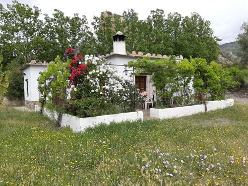 Casa Los Muros