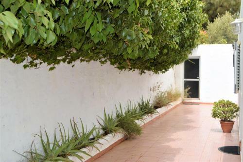 Agroturismo Cottage Gran Canaria
