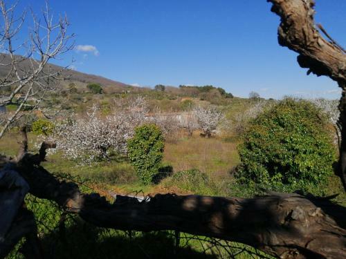 Apartamento El Sotanillo