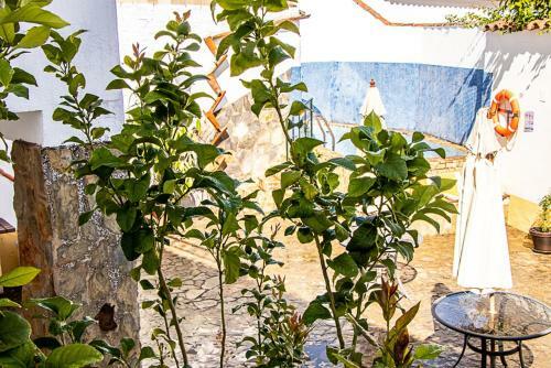 Casa Rural Los Gaitanes
