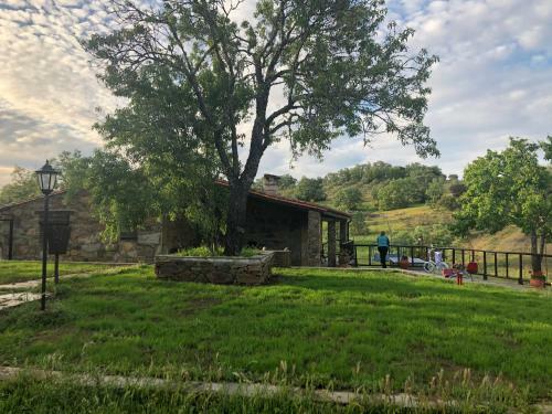 Casa Rural Manant�o Blanco