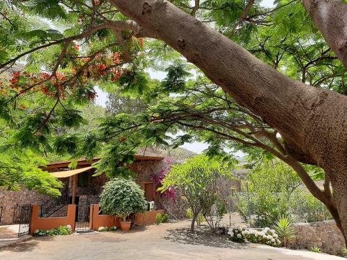 Peaceful House, Set On A Vineyard & Beautiful Views
