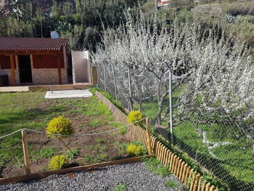 Casa Pinito 1