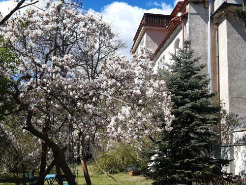 Apartament Przy Lipowej