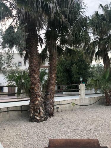 Hostal Cortijo �lamo 2