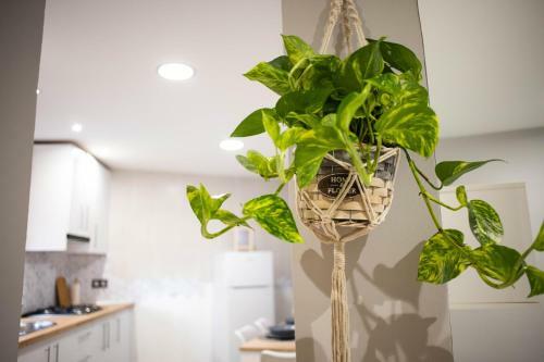 Apartamento La Peque�a