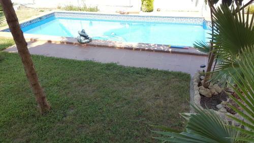 El Mirador II