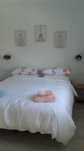 Apartamento Casa Rivera 124
