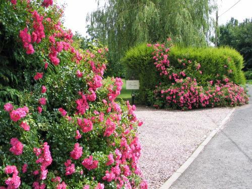 The Beeches Bed And Breakfast