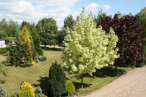 The Beeches Bed And Breakfast