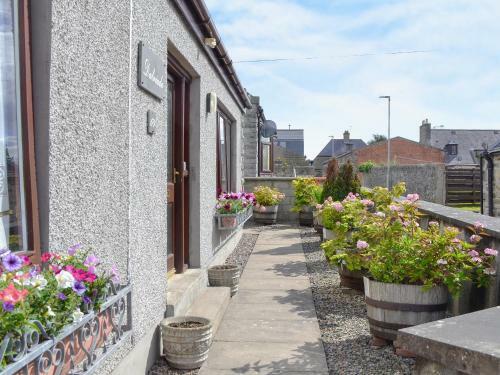 Dalriada Bungalow