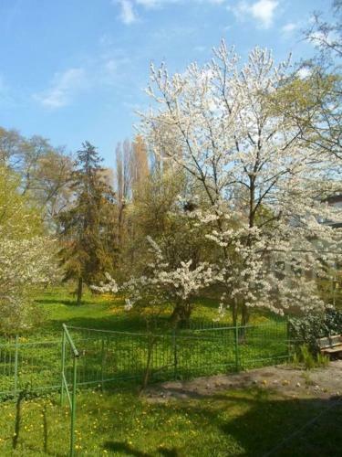 Apartament 100m Od Morza