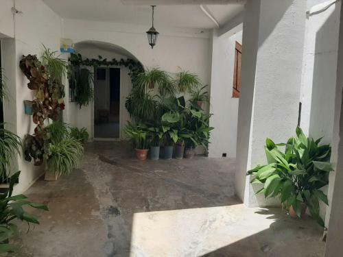 El Estudio Del Zagu�n