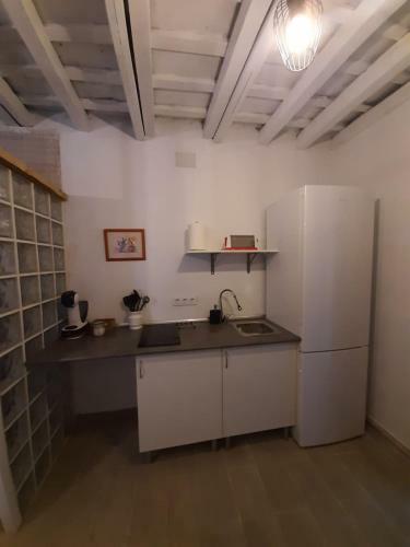 El Estudio Del Zagu�n