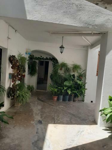 El Estudio Del Zagu�n