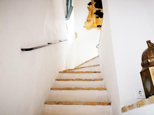 Apartamento La Zalamera