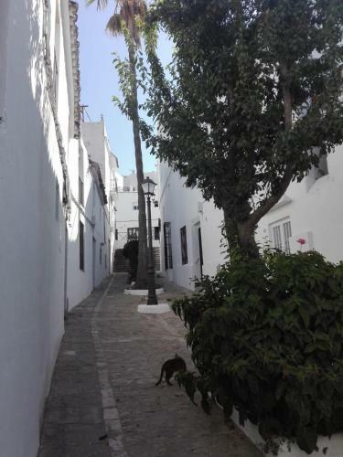 Apartamento Casa Patio Para�so
