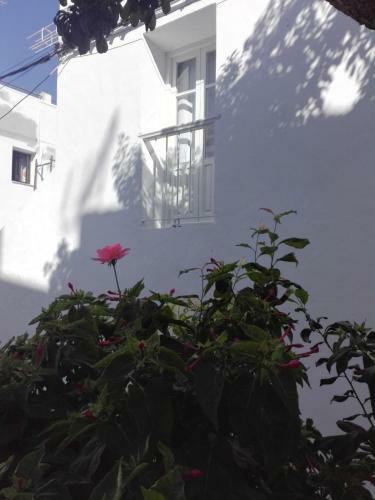 Apartamento Casa Patio Para�so