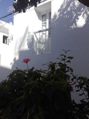 Apartamento Casa Patio Para�so