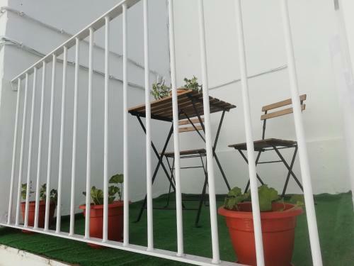 Apartamento Casa Patio Para�so