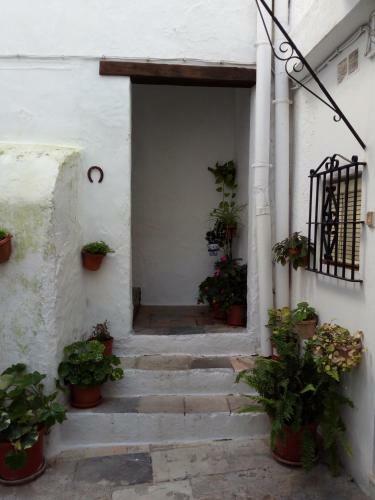 La Suite Del Alfiz