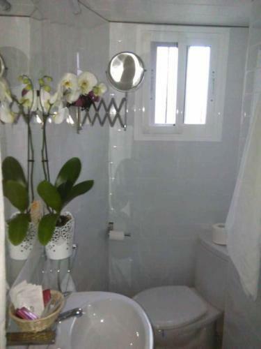 Apartamento Casa Rom�ntica "la Chela"