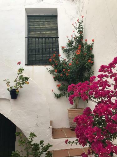 Apartamento Casa De Arquitecto