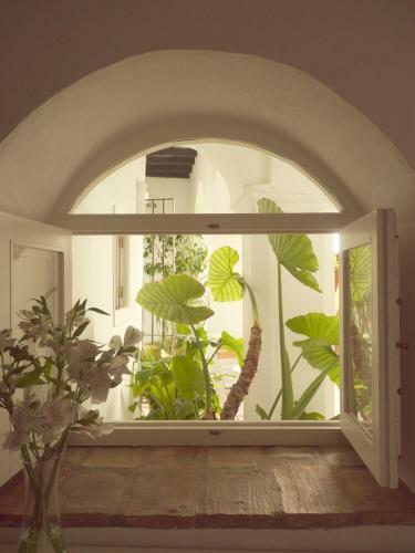 Hostal Siete Balcones Y Un Patio