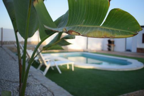 Bamb� � Casa Rural En Vejer Con Piscina Privada