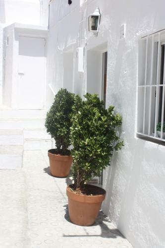 Apartamento La Casa Del Patio