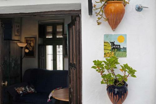 Casa Lola