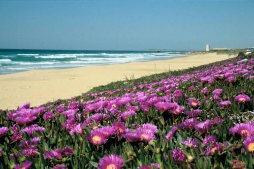 Apartamento Albayalde Cielo Y Mar