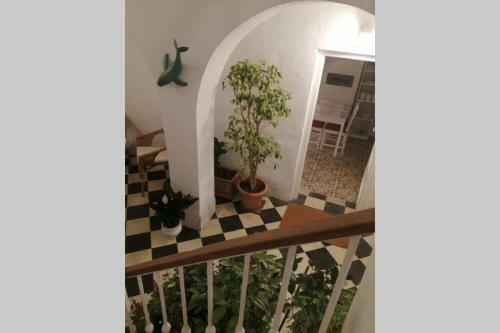 Apartamento El Patio De La Ballena