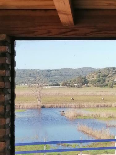 Casa Los Ibis
