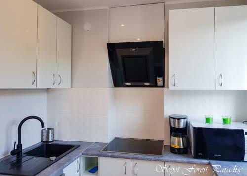 Apartamento Sopot Forest Paradise